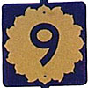 Random Shield